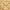 Dourado
