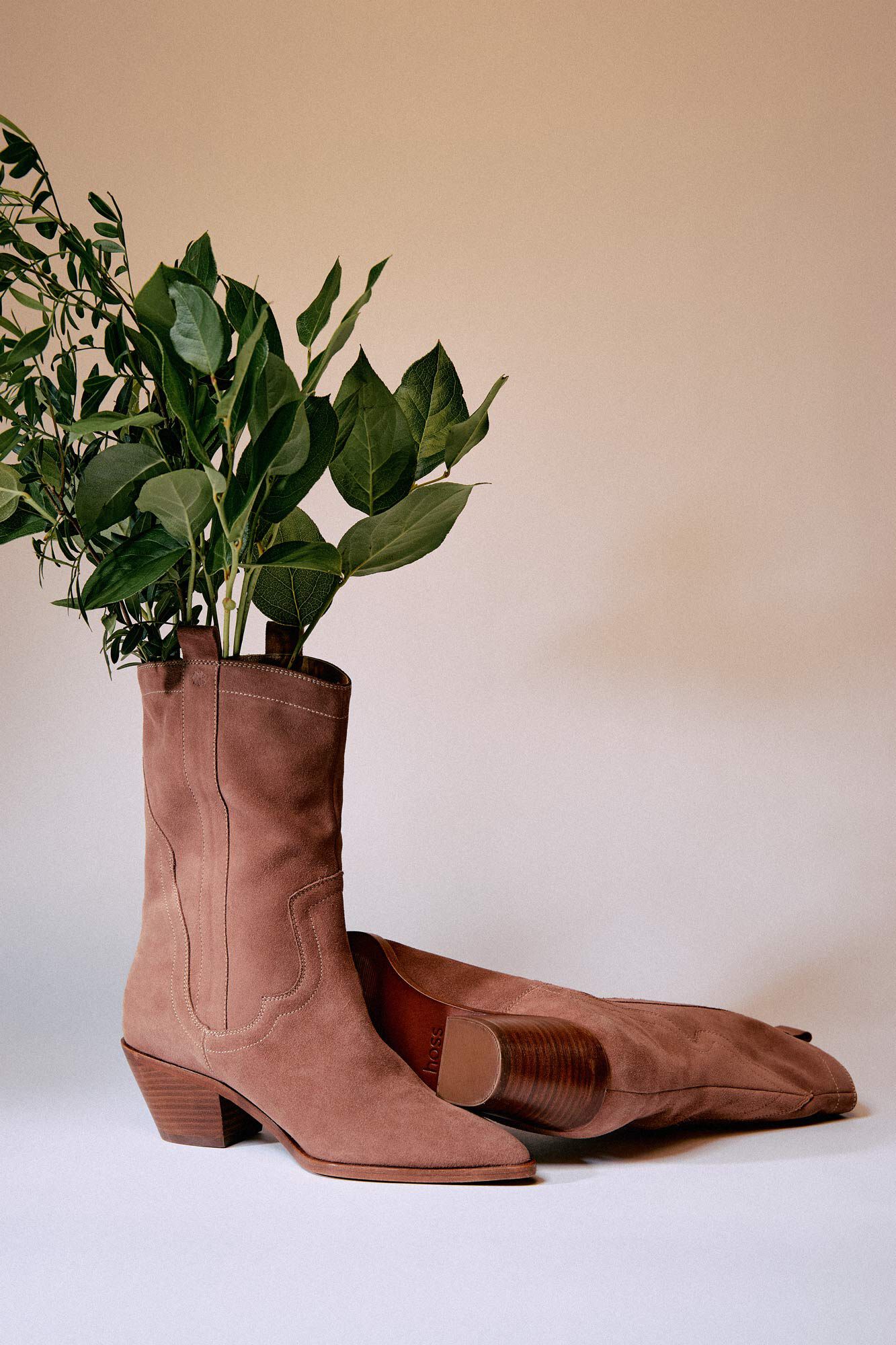 Botines de mujer | Nueva Colección | Hoss Intropia