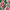 Estampado Verde