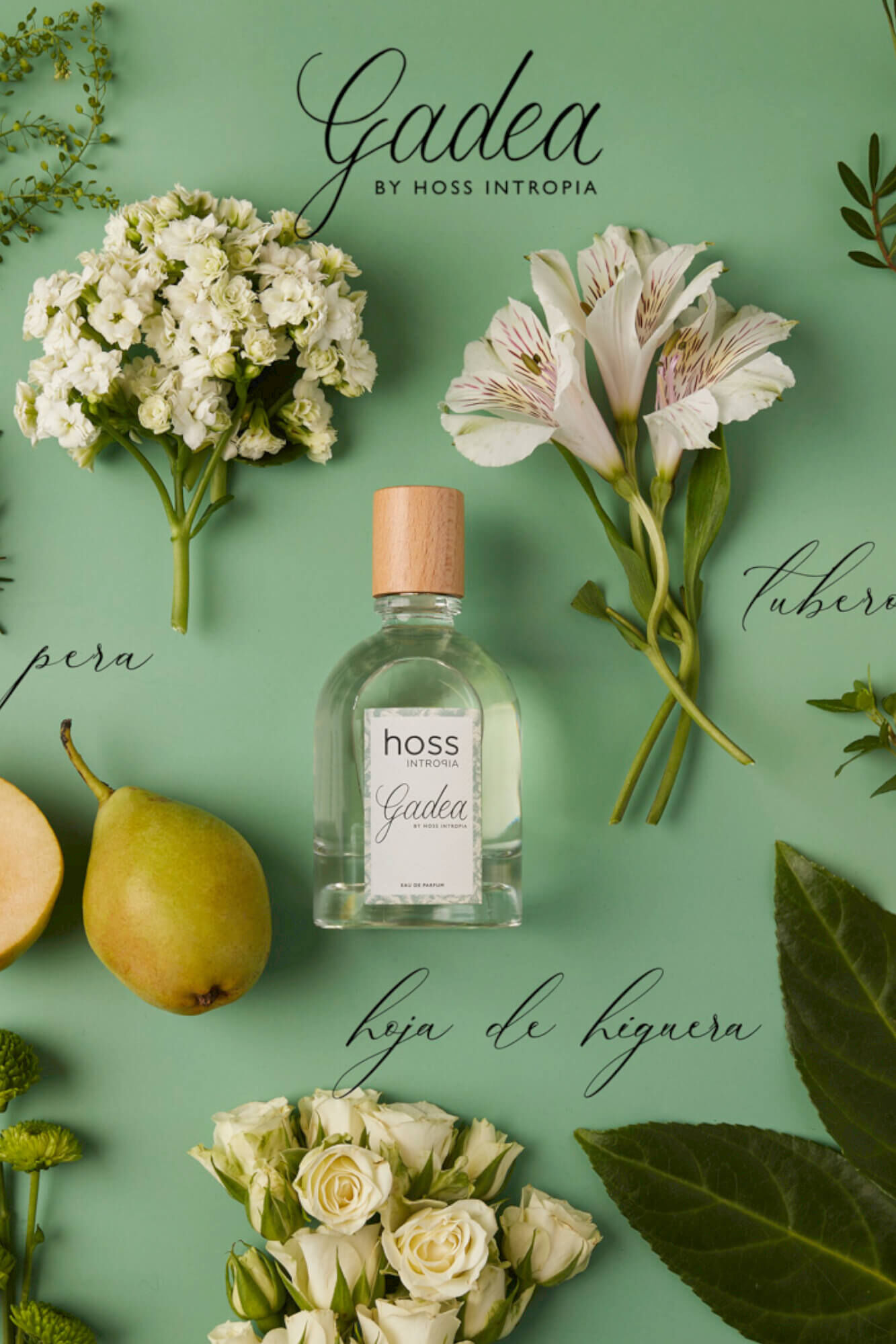 Hoss Intropia Gadea. Perfume Hoss Intropia 100ml