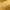 Dorado