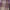 Roxo