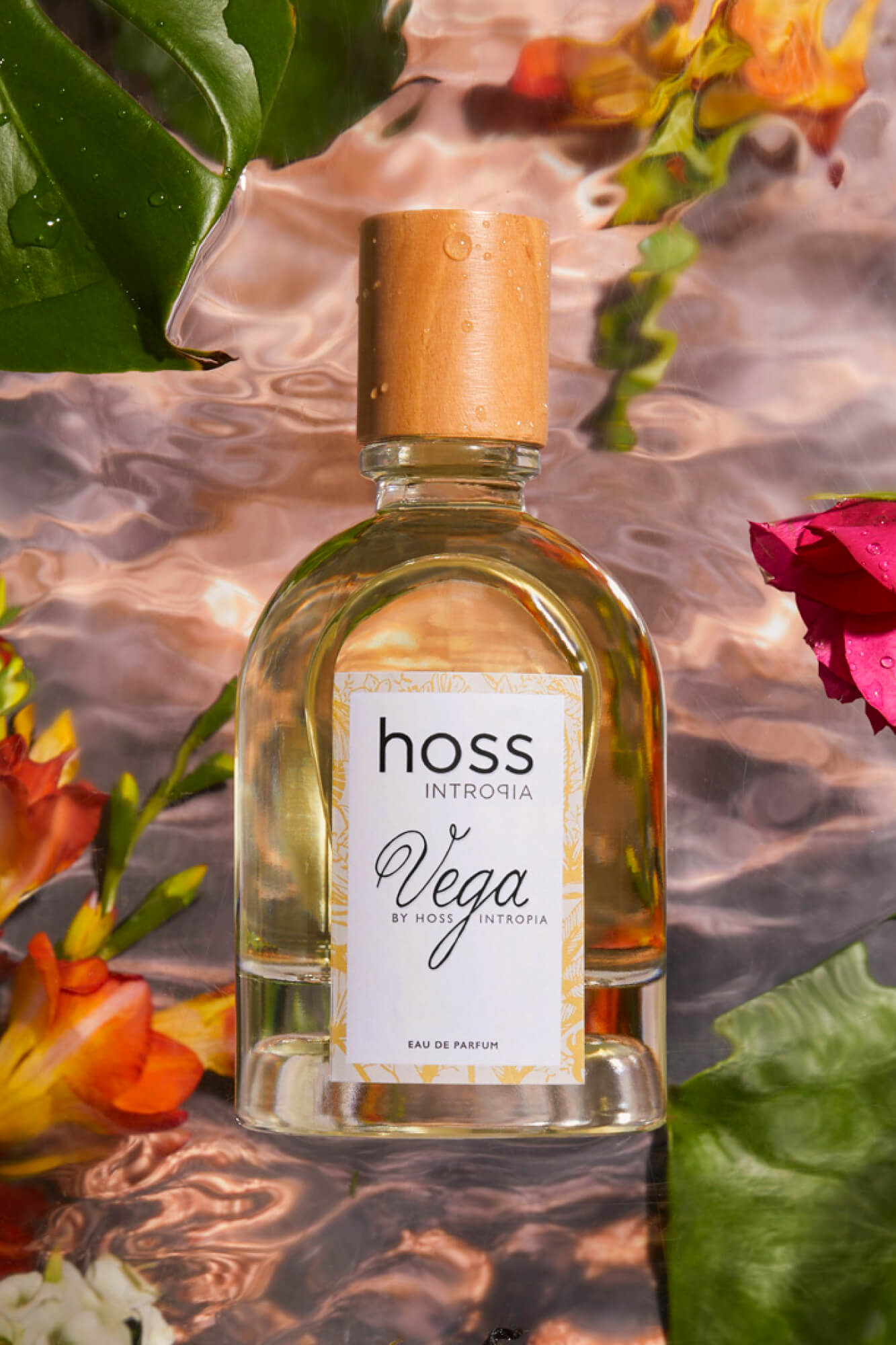 Vega Perfume Hoss Intropia