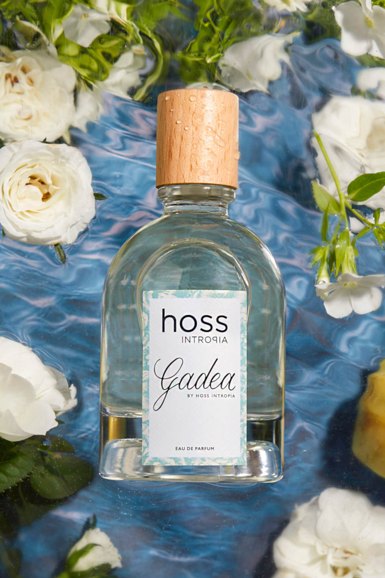 Gadea Perfume Hoss Intropia